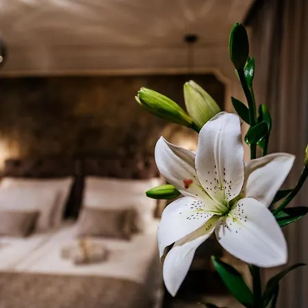 Luxury Rooms Vindemiae Zadar Exterior photo