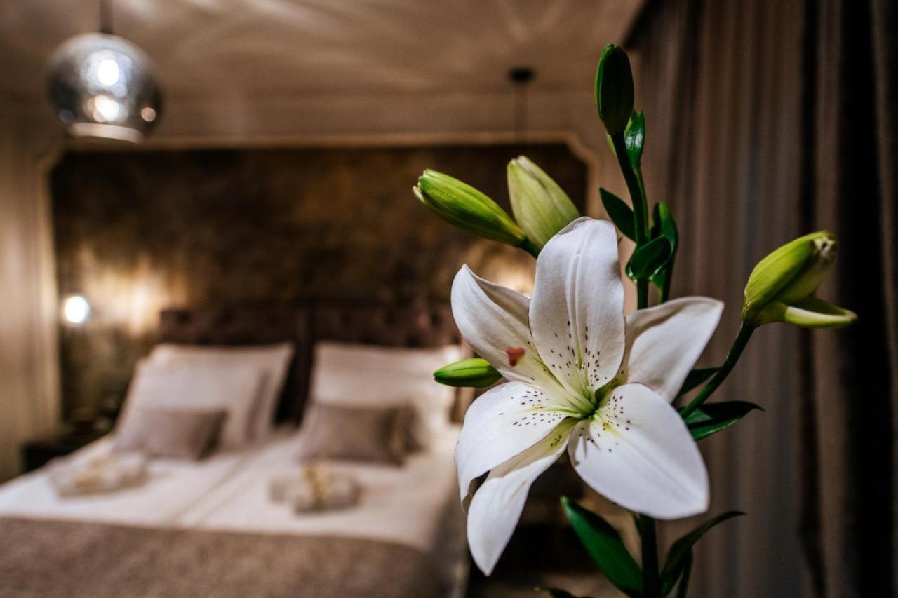 Apartman Luxury Vindemiae Zadar